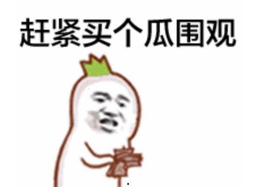 吃瓜表情包回复怎么说好听,幽默风趣的社交新宠